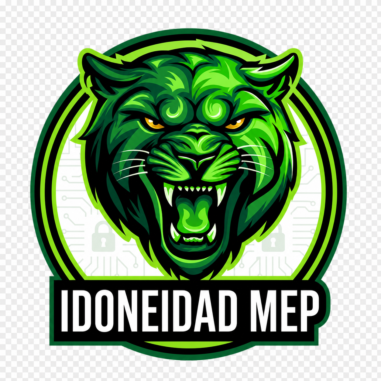 Idoneidad Docente